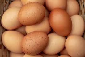 Image result for eggs